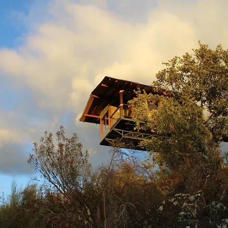 En Arboles De Extremadura Tente de luxe Villasbuenas de Gata