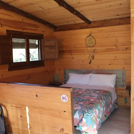 En Arboles De Extremadura