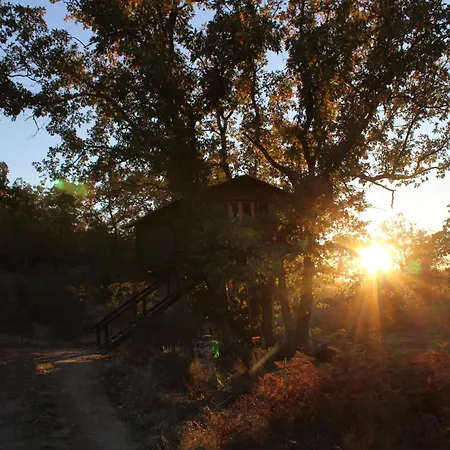 Campo de lujo En Arboles De Extremadura *