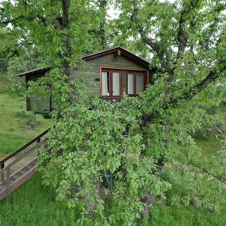 En Arboles De Extremadura