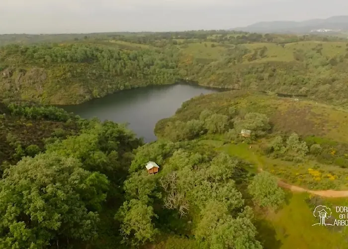 Campo de lujo En árboles De Extremadura *