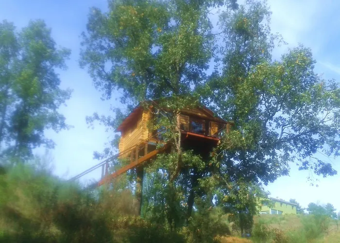 En árboles De Extremadura Villasbuenas de Gata