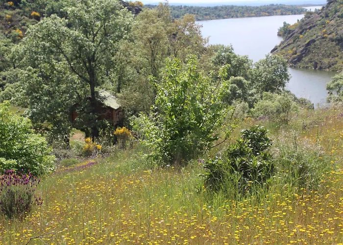 En árboles De Extremadura Campo de lujo