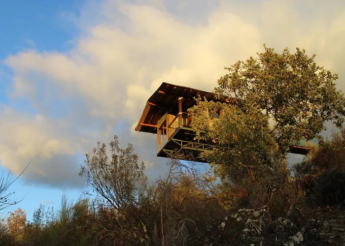 En árboles De Extremadura Campo de lujo Villasbuenas de Gata