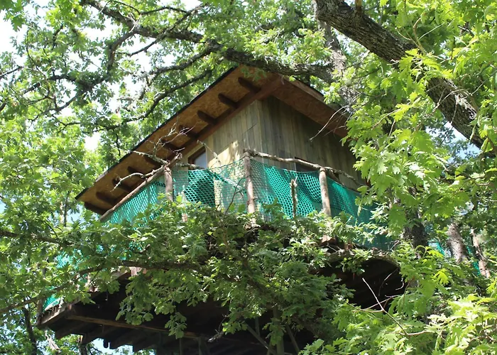 Campo de lujo En árboles De Extremadura Villasbuenas de Gata