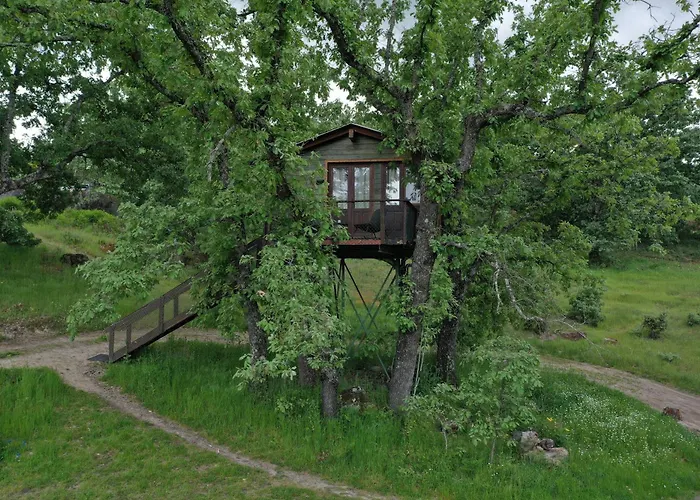 En árboles De Extremadura Campo de lujo *