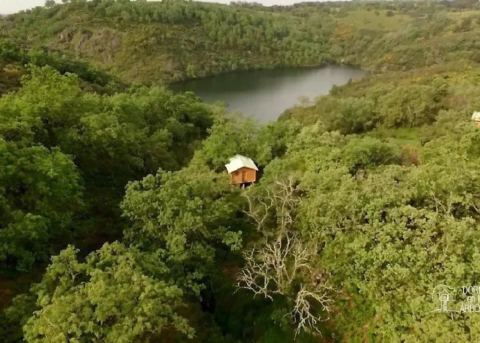 Campo de lujo En árboles De Extremadura Villasbuenas de Gata