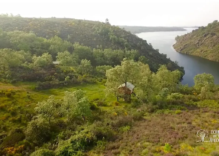 Campo de lujo En árboles De Extremadura
