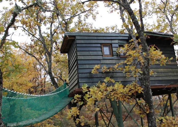 Campo de lujo En árboles De Extremadura *