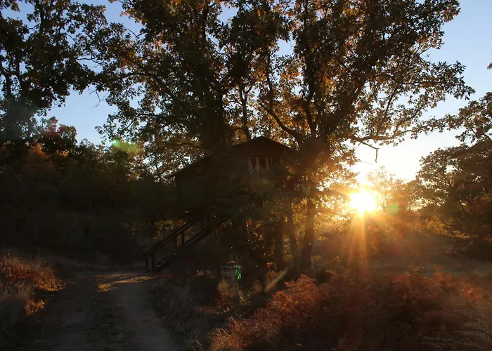 Campo de lujo En árboles De Extremadura *